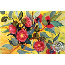 WATERMARK GREETING CARD EUCALYPTUS YOUNGIANA